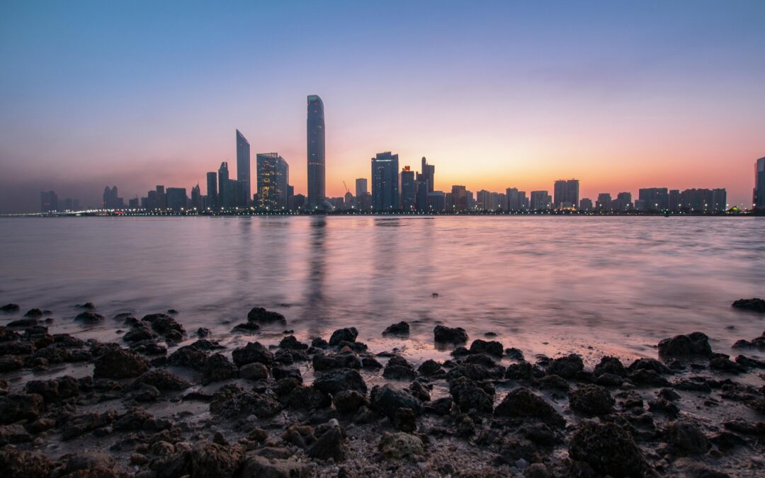 The Future of Financial Advisory Services in the Middle East and Africa